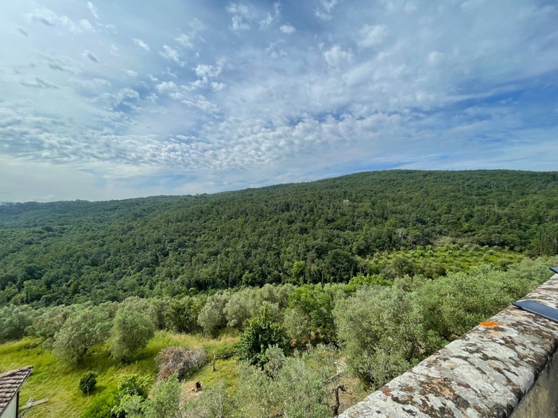 Trilocale in Vendita a Scandicci, 330'000€, 103 m²