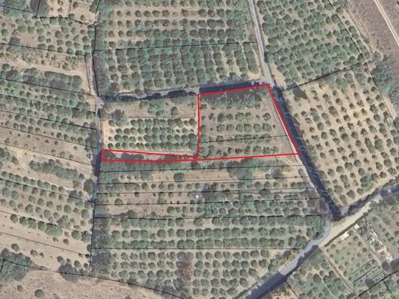 Terreno agricolo in Vendita a San Vito, 10'000€, 1950 m²