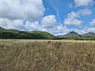 Terreno agricolo in Vendita a San Vito, 50'000€, 45910 m²
