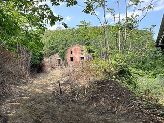 Terreno agricolo in Vendita a Giarre, 79'000€, 38000 m²