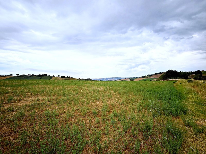 Terreno agricolo in Vendita a Recanati, 370'000&euro;, 123000 m²