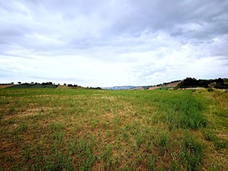 Terreno agricolo in Vendita a Recanati, 370'000&euro;, 123000 m²