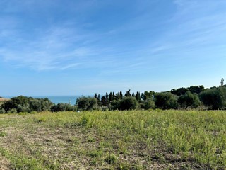 Terreno agricolo in Vendita a Grottammare, 50'000€, 6000 m²
