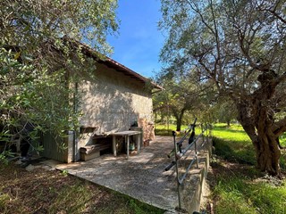 Terreno agricolo in Vendita a Grottammare, 100'000€, 7000 m²