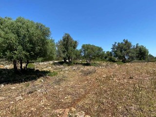 Terreno agricolo in Vendita a Noto, 49'000€, 1600 m²