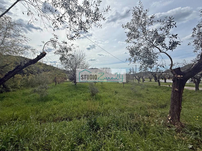Terreno edificabile in Vendita a Massarosa, 170'000€, 1000 m²