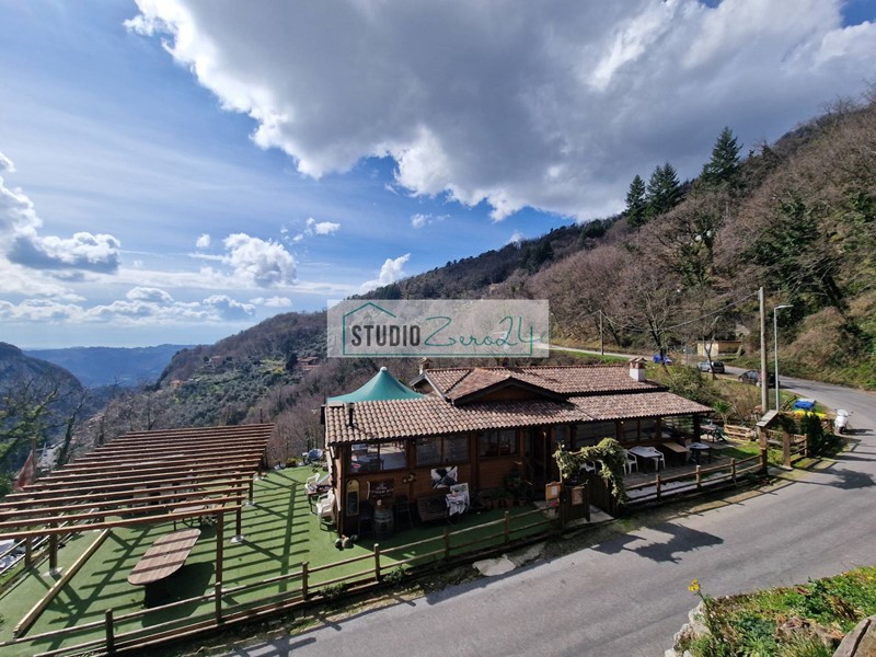 Attività commerciale in Vendita a Camaiore, 120'000&euro;, 180 m²
