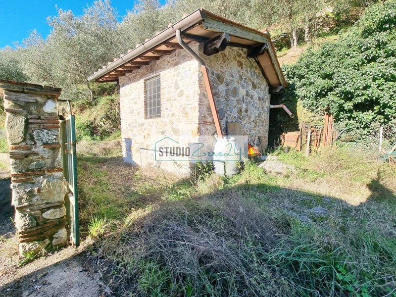 Terreno agricolo in Vendita a Camaiore, 26'000&euro;, 15 m²