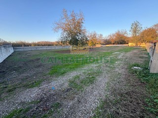 Terreno agricolo in Affitto a Saviano, 500€, 2500 m²