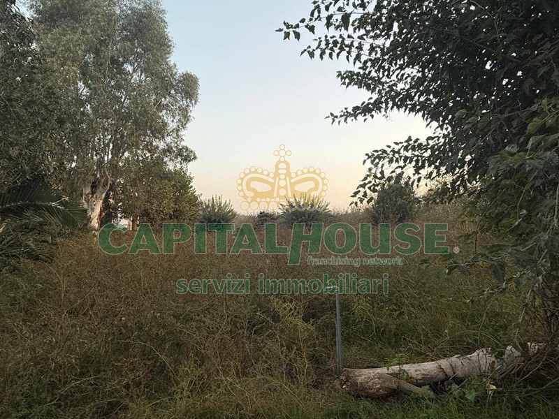 Terreno agricolo in Vendita a Scisciano, 80'000€, 1900 m²