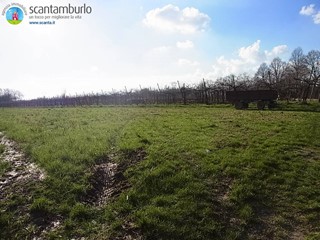 Terreno edificabile in Vendita a Povegliano, 160'000€, 928 m²