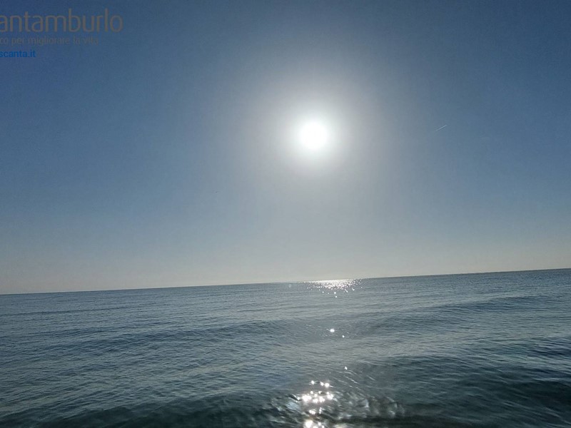 Terreno agricolo in Vendita a Cavallino Treporti, 2'000'000€, 6000 m²