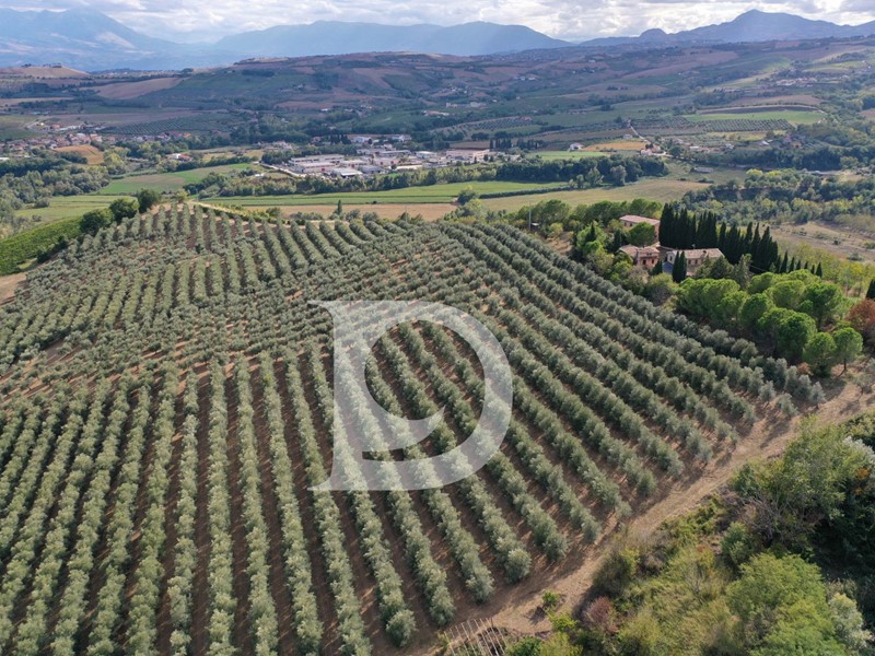 Attività commerciale in Vendita a Loreto Aprutino, 998'000€, 800 m²