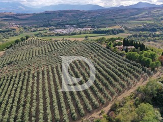 Attività commerciale in Vendita a Loreto Aprutino, 998'000€, 800 m²