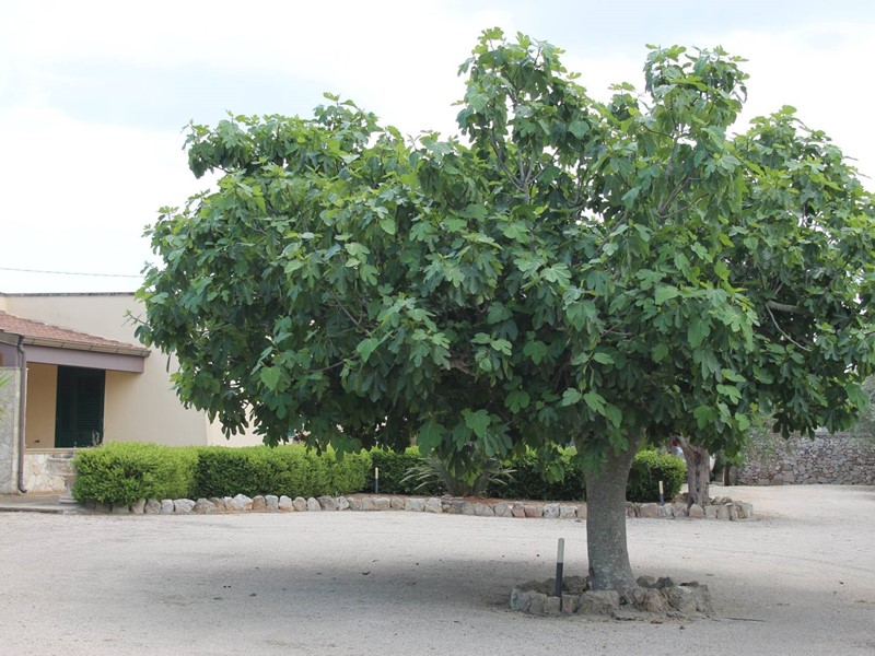 Villa in Vendita a Corigliano d'Otranto, 235'000€, 170 m²