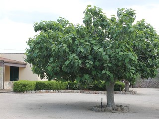 Villa in Vendita a Corigliano d'Otranto, 235'000€, 170 m²