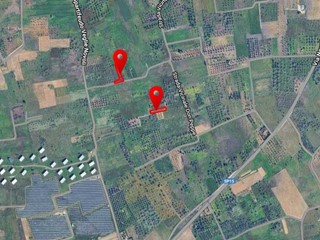 Terreno agricolo in Vendita a Novoli, 3'000€, 1500 m²