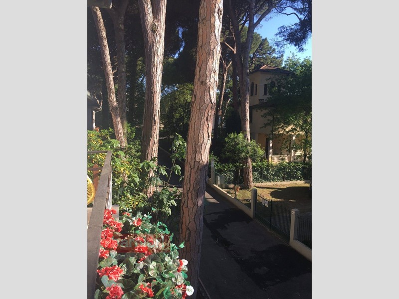 Appartamento in Affitto a Cervia, 70 m²