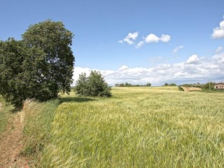 Terreno agricolo in Vendita a Viterbo, 369'000€, 160000 m²