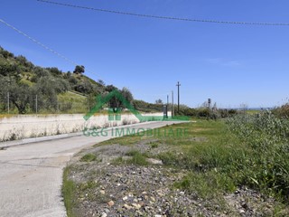 Terreno agricolo in Vendita a Catania, 550'000€, 70000 m²
