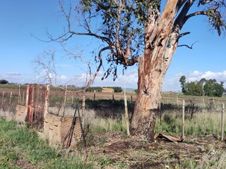 Terreno agricolo in Vendita a Tarquinia, 18'000€, 790 m²