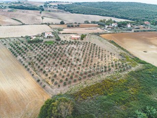 Villa in Vendita a Tarquinia, 398'000€, 150 m²