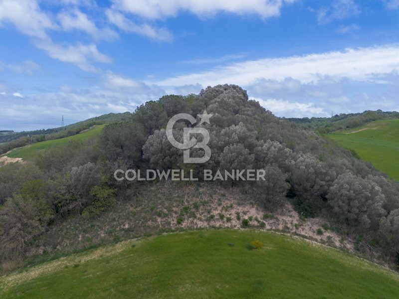 Terreno agricolo in Vendita a Tuscania, 180'000€, 190000 m²