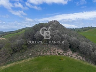 Terreno agricolo in Vendita a Tuscania, 180'000€, 190000 m²