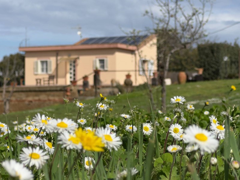 Villa in Vendita a Tarquinia, 265'000€, 110 m²