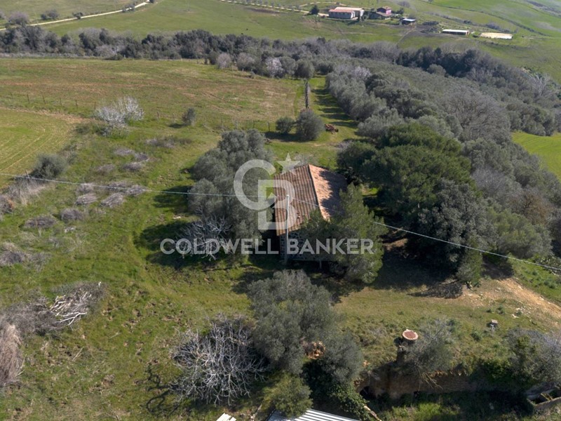 Rustico in Vendita a Tuscania, 650'000€, 120 m²