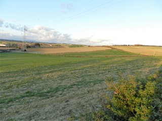 Terreno agricolo in Vendita a Tarquinia, 35'000€, 21680 m²