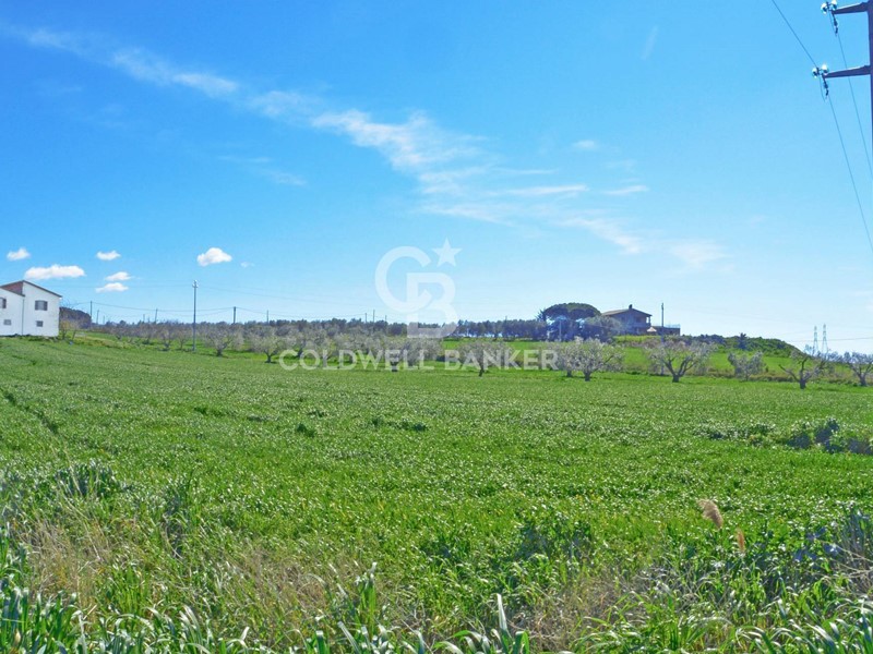 Terreno agricolo in Vendita a Tarquinia, 49'000€, 20000 m²