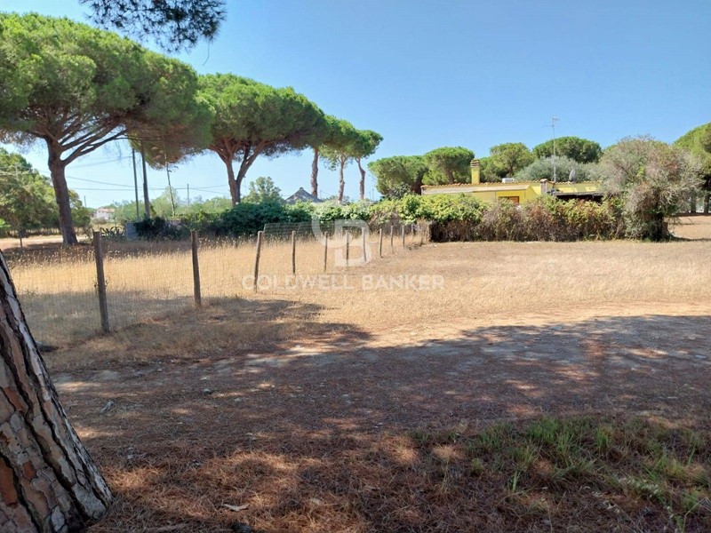 Terreno agricolo in Vendita a Tarquinia, 11'000€, 1160 m²