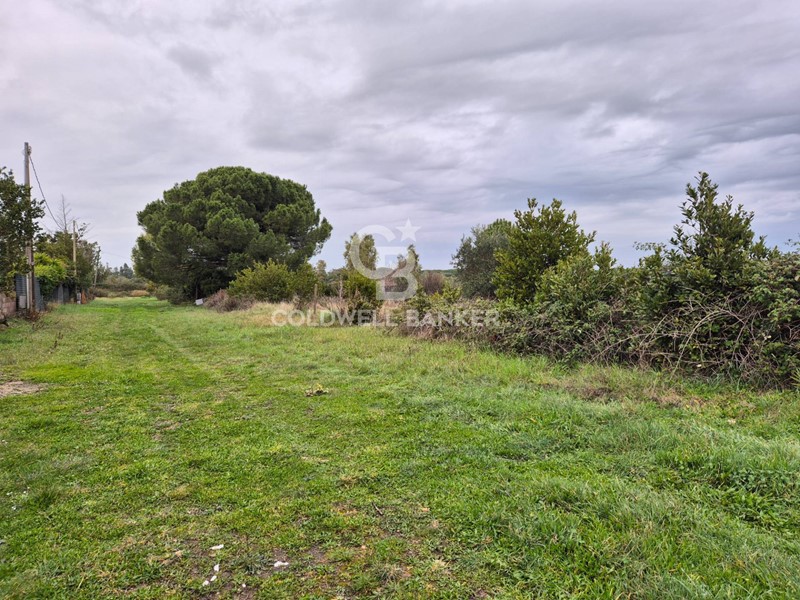 Terreno agricolo in Vendita a Tarquinia, 8'000€, 920 m²