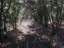 Terreno agricolo in Vendita a Montefredane, 40'000&euro;, 9561 m²