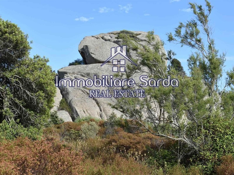 Terreno agricolo in Vendita a Arzachena, 580'000€, 590000 m²