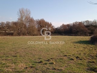 Terreno agricolo in Vendita a Nepi, 25'000&euro;, 8852 m²
