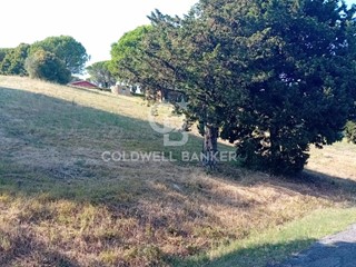 Terreno agricolo in Vendita a Sutri, 30'000€, 6820 m²