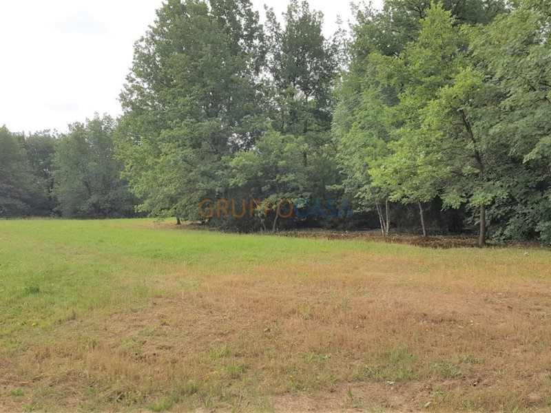 Terreno agricolo in Vendita a Altopascio, 12'000€, 2500 m²
