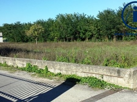 Terreno edificabile in Vendita a Alvignano, 200'000€, 4000 m²