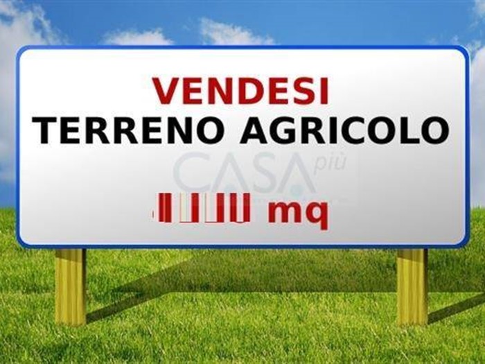 Terreno agricolo in Vendita a Monsampolo del Tronto, 99'000€, 45000 m²