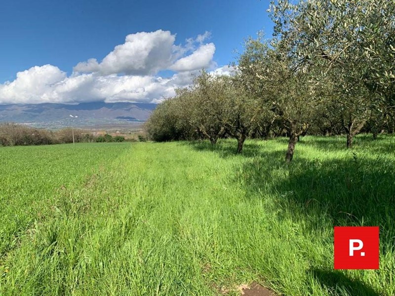 Terreno agricolo in Vendita a Alvignano, 60'000€, 13097 m²
