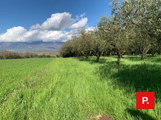 Terreno agricolo in Vendita a Alvignano, 60'000€, 13097 m²