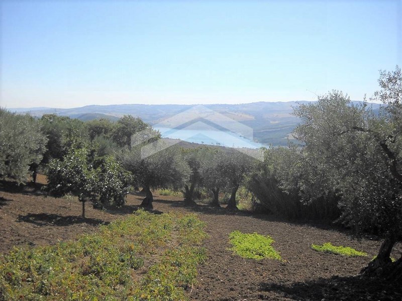 Terreno edificabile in Vendita a Guardialfiera, 25'000€, 7600 m²