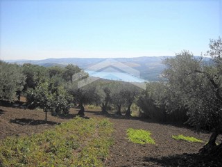 Terreno edificabile in Vendita a Guardialfiera, 25'000€, 7600 m²