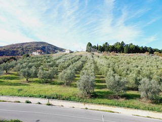 Terreno agricolo in Vendita a Guardialfiera, 60'000€, 12350 m²