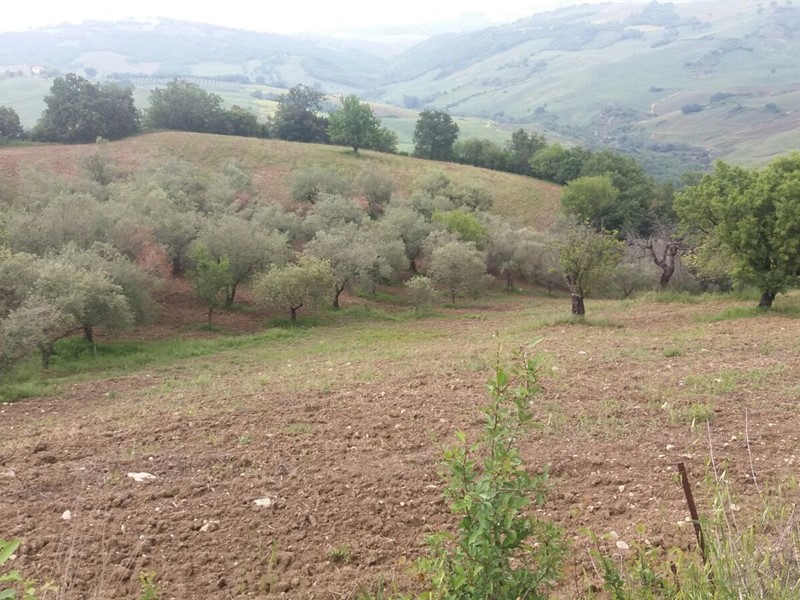 Terreno agricolo in Vendita a Guardialfiera, 20'000€, 22633 m²