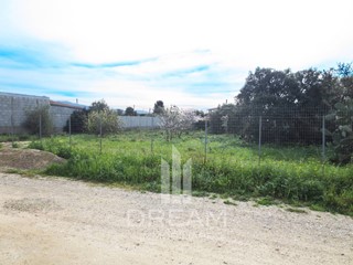 Terreno agricolo in Vendita a Quartu Sant'Elena, 29'000&euro;, 1325 m²