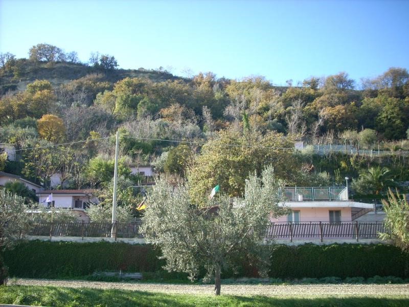 Attività commerciale in Vendita a Cupra Marittima, 1000 m²