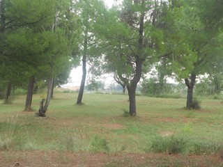 Terreno agricolo in Vendita a Massignano, 23000 m²